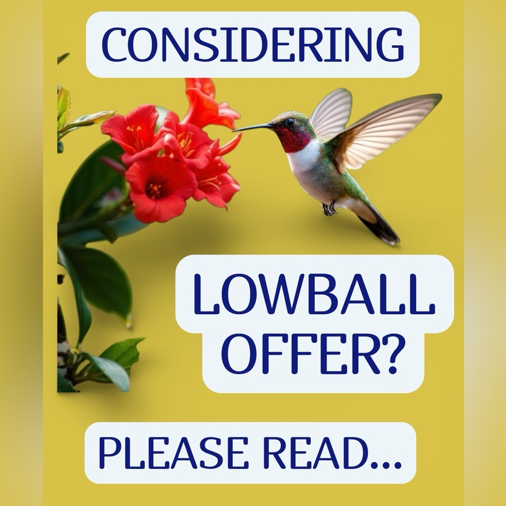 What is a Lowball Offer?